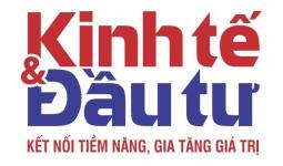 B&aacute;o Ch&iacute; Kinh Tế & Đầu Tư
