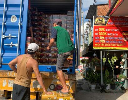 Hoạt động của c&ocirc;ng ty