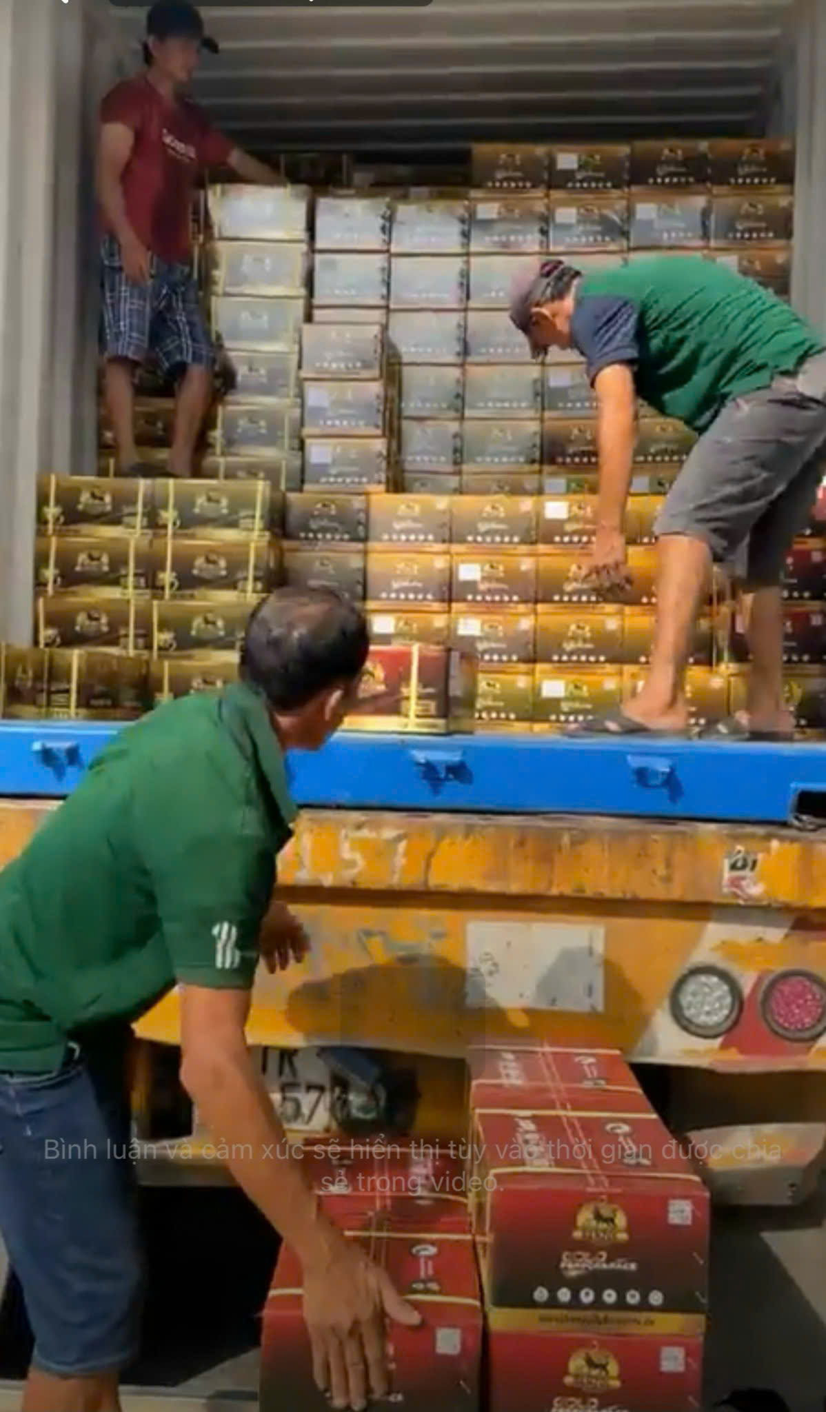 Hoạt động của c&ocirc;ng ty